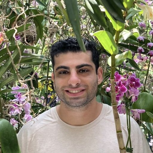 Maytham Naei